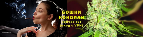 крисы Слюдянка