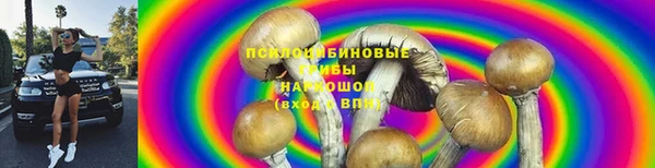 каннабис Аркадак