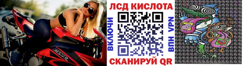 Марки N-bome 1,5мг  хочу   площадка телеграм  Купино  OMG зеркало 
